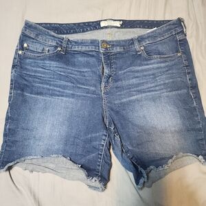 Torrid denim shorts